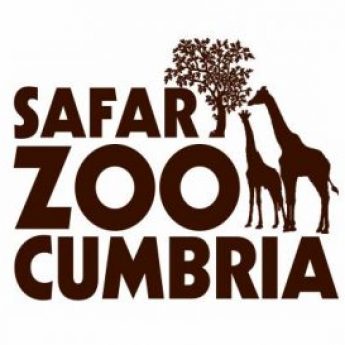 Safari Zoo Cumbria, Dalton